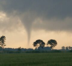 Torndo